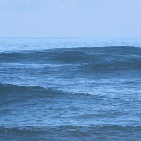 Апартаменты La Concha Sunset